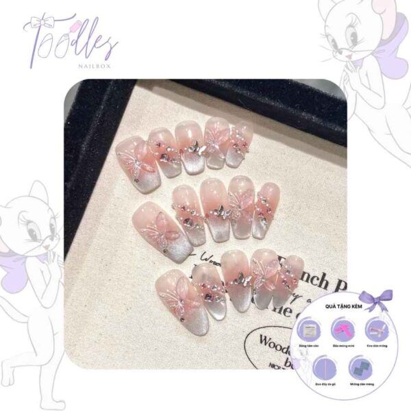 Nailbox_Dinh_Da_Ombre_Mat_Meo_Toodles_Thiet_Ke_Ma_ST01