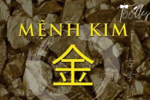 Nữ mệnh Kim hợp màu gì?